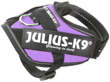Julius K-9 IDC Powerharness Baby 2 purple