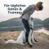 Ruffwear Front Range Harness L/XL basalt grey