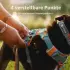 Ruffwear Front Range Harness L/XL basalt grey