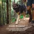 Ruffwear Front Range Harness L/XL basalt grey