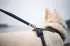 Ruffwear Front Range Harness L/XL basalt grey