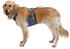 Ruffwear Load Up Harness M slate blue