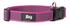 Julius K-9 Color & Gray Halsband