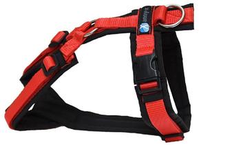 Anny-x Brustgeschirr Fun schwarz/rot XS