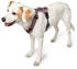 HUNTER Geschirr Maldon Up mit Griff rot/grau Gr. M-L