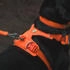 Ruffwear Front Range Harness M Blaze Orange