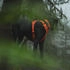 Ruffwear Front Range Harness M Blaze Orange
