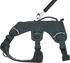 Ruffwear Web Master S Basalt Gray