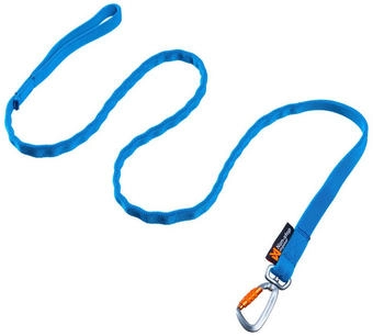 Non-stop dogwear Hundeleine Bungee Leash türkis, Länge: 2 m