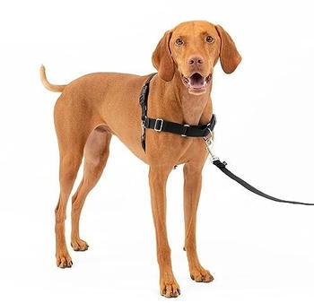 Petsafe Easy Walk Anti-Zug-Geschirr Schwarz - M