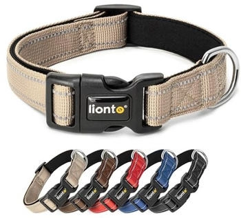 Lionto verstellbares Hundehalsband beige XS