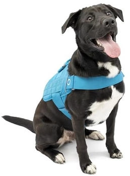 Kurgo RSG Townie Hundegeschirr blau XL