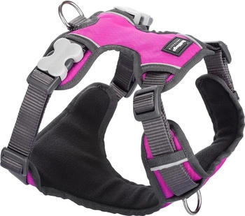 Red Dingo Hundegeschirr gepolstert - hot pink / M