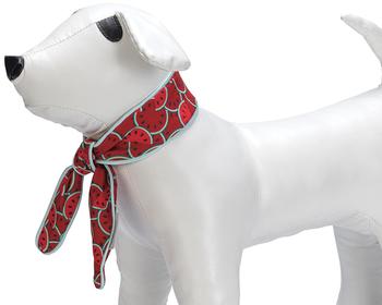 Beeztees Hundehalsband Quick Cooler Meloenie rot, Größe: S