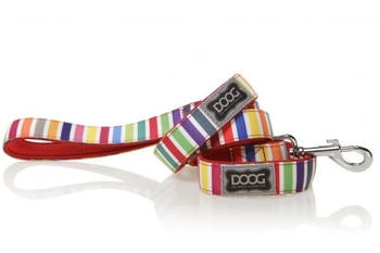 Doog Leine Scooby multi-color stripped, Maße: 130 x 2,5 cm