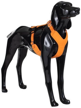 Paikka Hundegeschirr reflektierend "Visibility Harness" orange, Größe: XXL