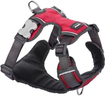 Red Dingo Geschirr Gepolstert M rot
