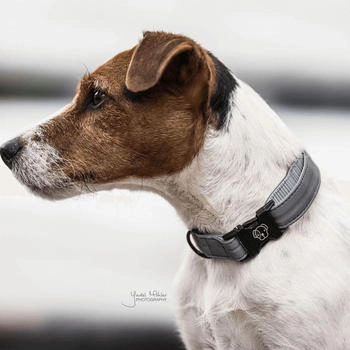 Kentucky Hundehalsband Reflective Grau L42-68cm