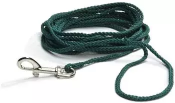 Beeztees Feldleine Nylon grün, Maße: 5 m