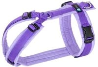Anny-X Brustgeschirr Fun Lavendel | Geschirr Gr. XS (Brustumfang 36-42 cm)