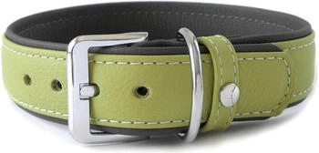 Das Lederband Hundehalsband Amsterdam lime/lava, Länge: 20 cm / Breite: 12 mm