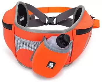 Truelove Jogging-Gürtel orange