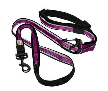 Kurgo Reflect & Protect Quantum Leash Rapsberry