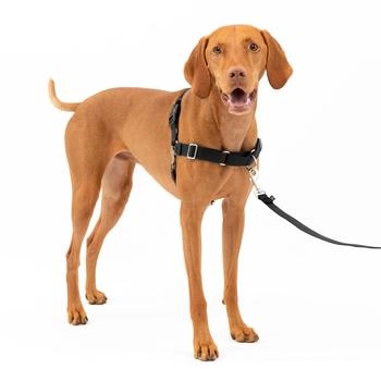 Petsafe Easy Walk Anti-Zieh-Hundegeschirr schwarz M