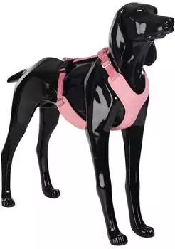 Paikka Visibility Harness - Pink - XS