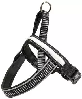 Duvo+ Geschirr City Paris LED Nylon schwarz, Größe: S