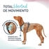 Halti Halti anatomisches Hundegeschirr/Anatomy Harness grau, Größe: S