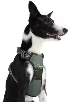 Doog Neotech Harness Green Gr. S