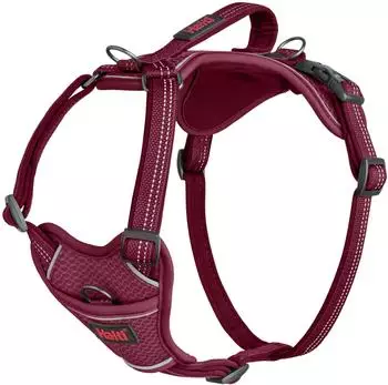 The Company of Animals Hundegeschirr Anatomy Harness Magenta, Größe: XS