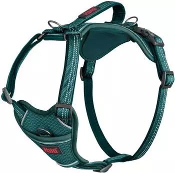 The Company of Animals Hundegeschirr Anatomy Harness Teal, Größe: XL