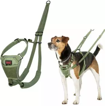 Halti Halti Erziehungsgeschirr No Pull Harness Forest Green, Größe: XS