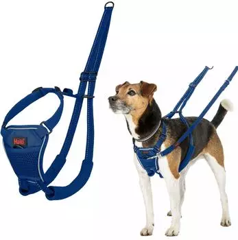 Halti Halti Erziehungsgeschirr No Pull Harness Cobalt Blue, Größe: S