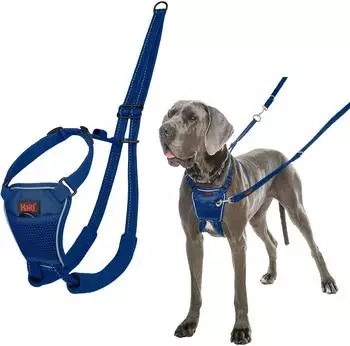 Halti Halti Erziehungsgeschirr No Pull Harness Cobalt Blue, Größe: L