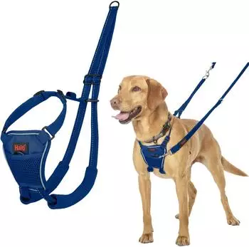Halti Halti Erziehungsgeschirr No Pull Harness Cobalt Blue, Größe: M