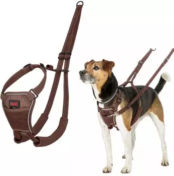 Halti Halti Erziehungsgeschirr No Pull Harness Deep Walnut, Größe: S