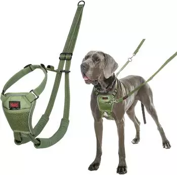 Halti Halti Erziehungsgeschirr No Pull Harness Forest Green, Größe: L