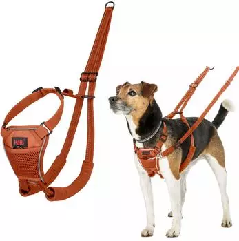 Halti Halti Erziehungsgeschirr No Pull Harness Burnt Orange, Größe: S