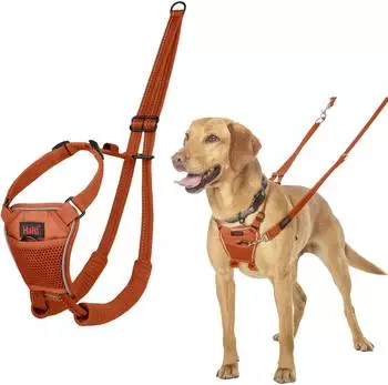 Halti Halti Erziehungsgeschirr No Pull Harness Burnt Orange, Größe: M