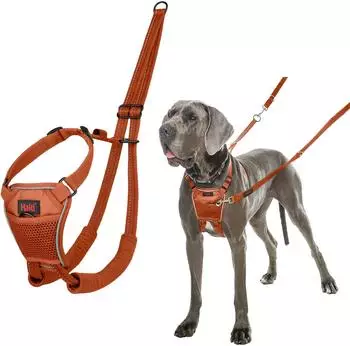 Halti Halti Erziehungsgeschirr No Pull Harness Burnt Orange, Größe: L