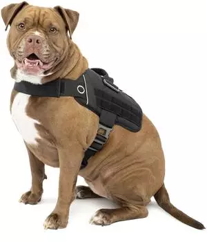 Kurgo RSG Townie Harness Schwarz / L