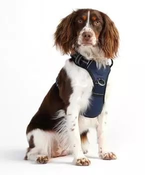 Doog Neotech Harness Navy Gr. XL