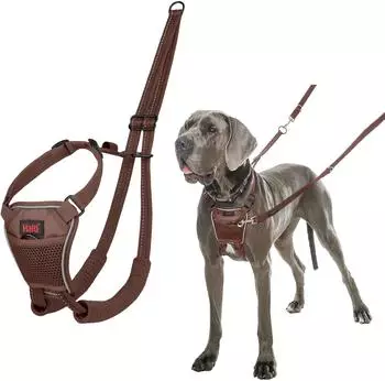 Halti Halti Erziehungsgeschirr No Pull Harness Deep Walnut, Größe: L
