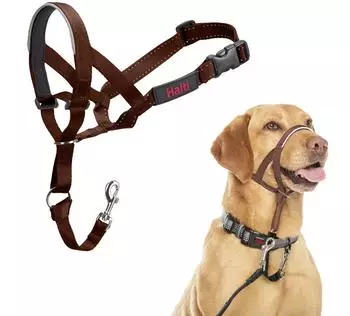 Halti Halti Kopfgeschirr/Headcollar walnuss, Größe: 3