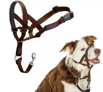 Halti Halti Kopfgeschirr/Headcollar walnuss, Größe: 2