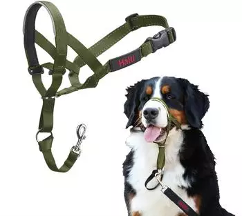 Halti Halti Kopfgeschirr/Headcollar grün, Größe: 4
