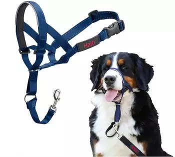 Halti Halti Kopfgeschirr/Headcollar blau, Größe: 4